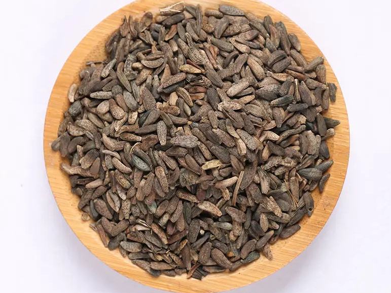 牛蒡子_副本.jpg undefined